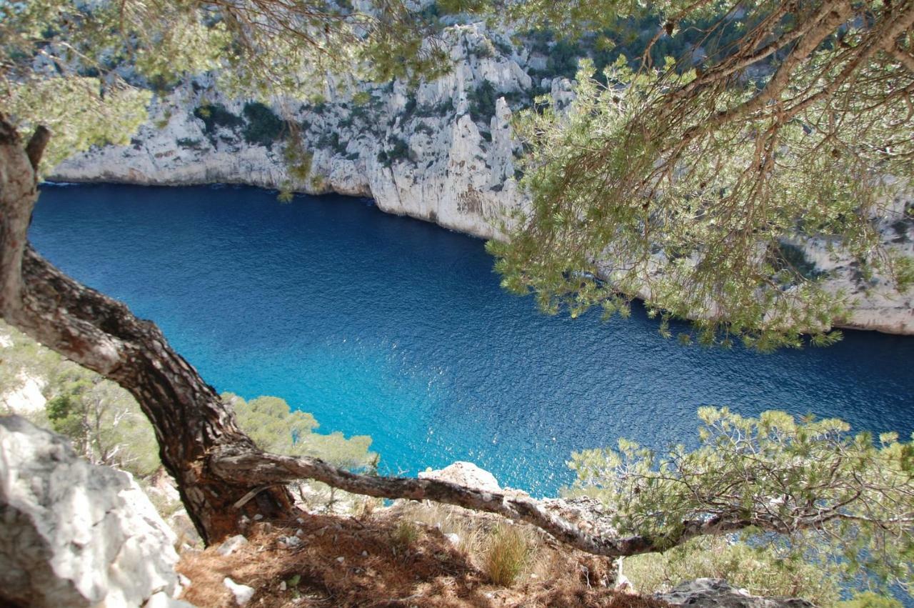 Azur Cassis Apartment ภายนอก รูปภาพ